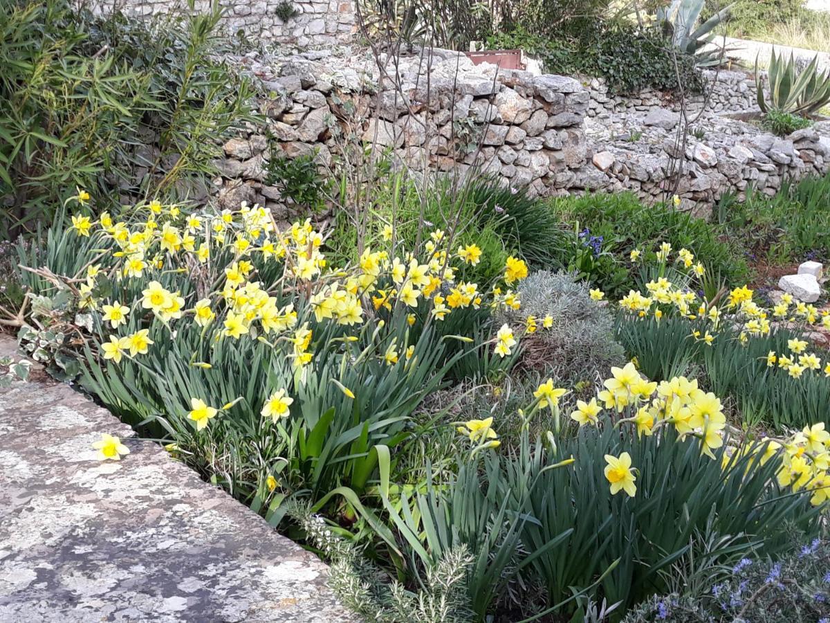 Holiday Home Villa Esperanca Veli Lošinj Εξωτερικό φωτογραφία