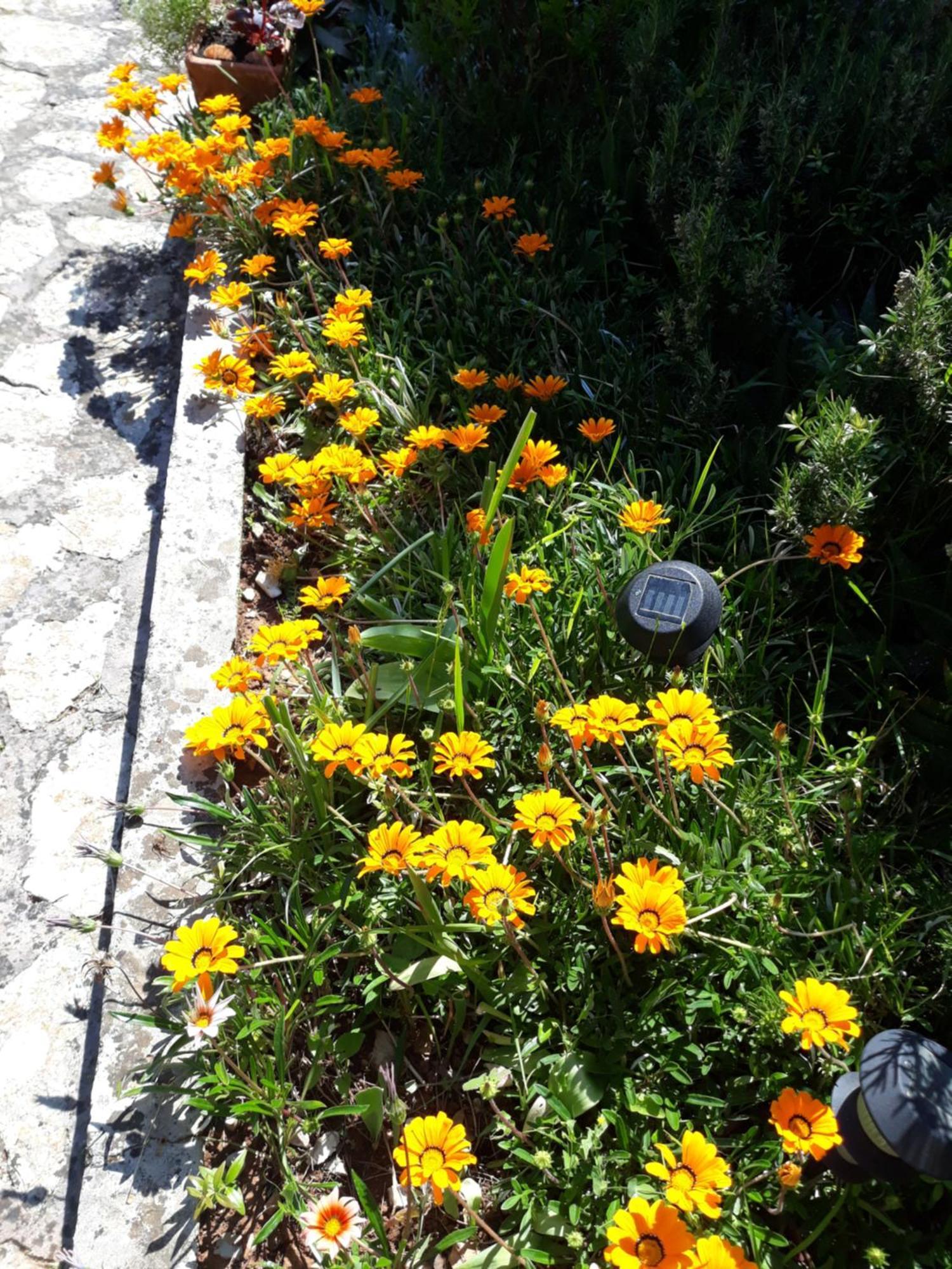 Holiday Home Villa Esperanca Veli Lošinj Εξωτερικό φωτογραφία