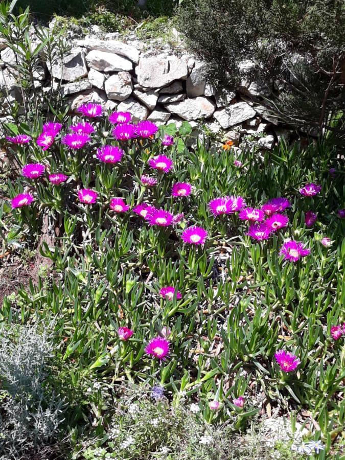 Holiday Home Villa Esperanca Veli Lošinj Εξωτερικό φωτογραφία
